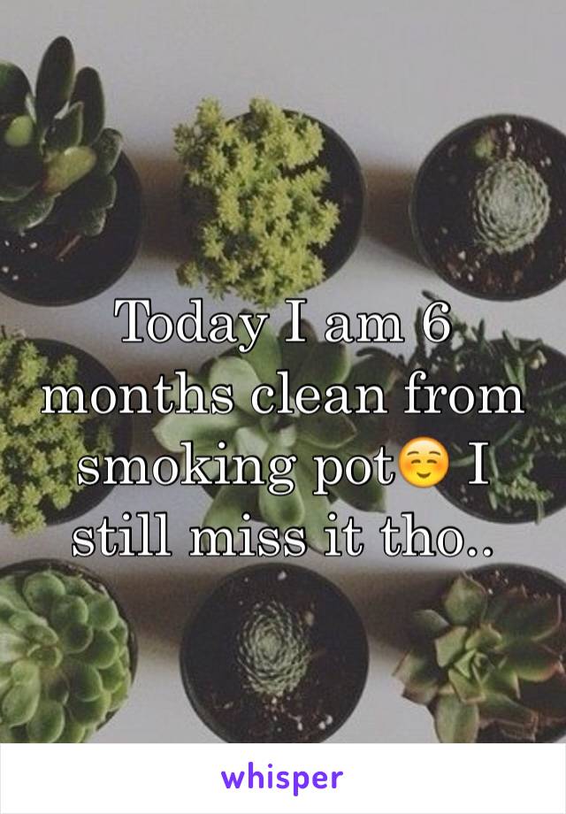 Today I am 6 months clean from smoking pot☺️ I still miss it tho..