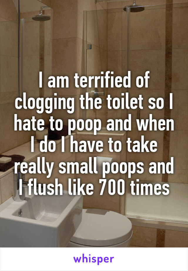 I am terrified of clogging the toilet so I hate to poop and when I do I have to take really small poops and I flush like 700 times