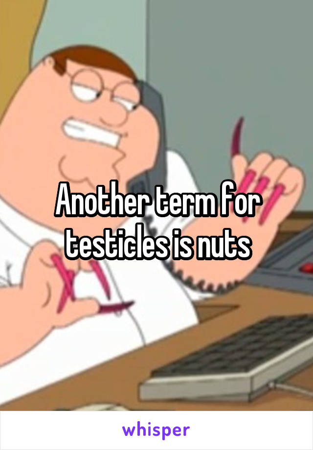 Another term for testicles is nuts