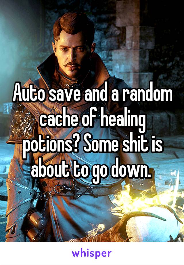 Auto save and a random cache of healing potions? Some shit is about to go down. 