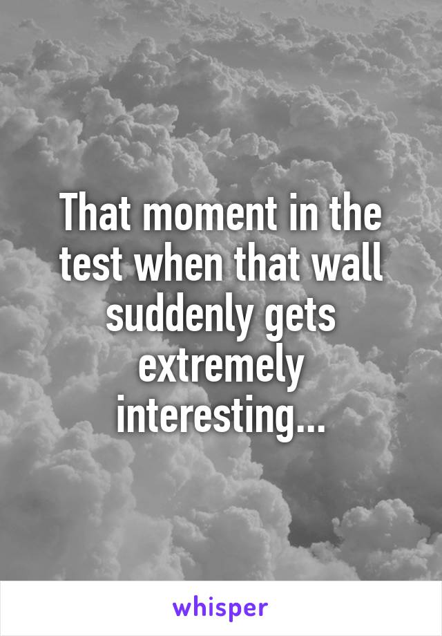 That moment in the test when that wall suddenly gets extremely interesting...