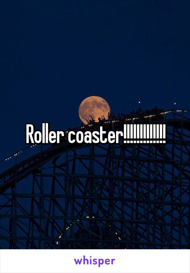 Roller coaster!!!!!!!!!!!!!