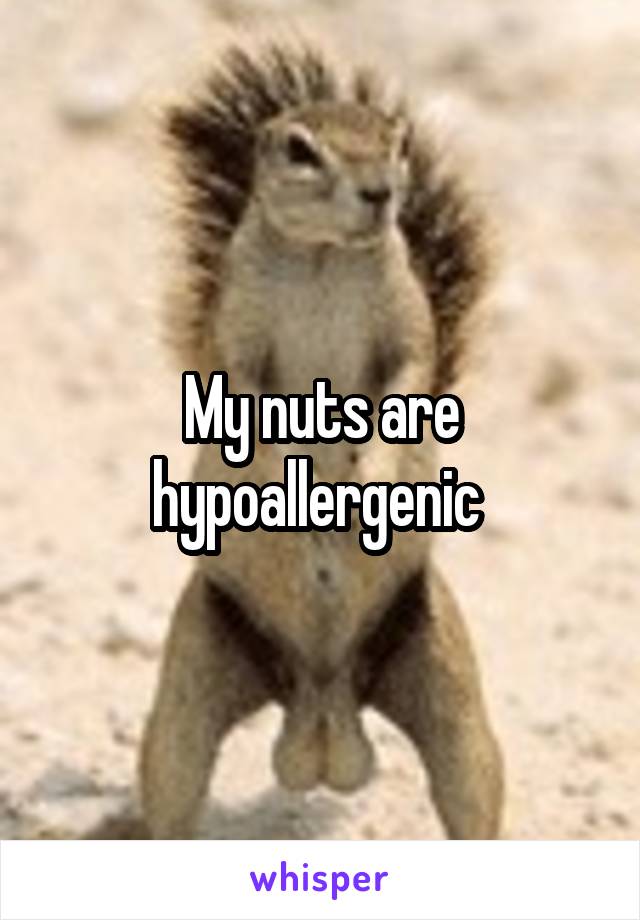 My nuts are hypoallergenic 