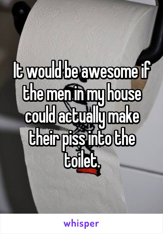 It would be awesome if the men in my house could actually make their piss into the toilet.