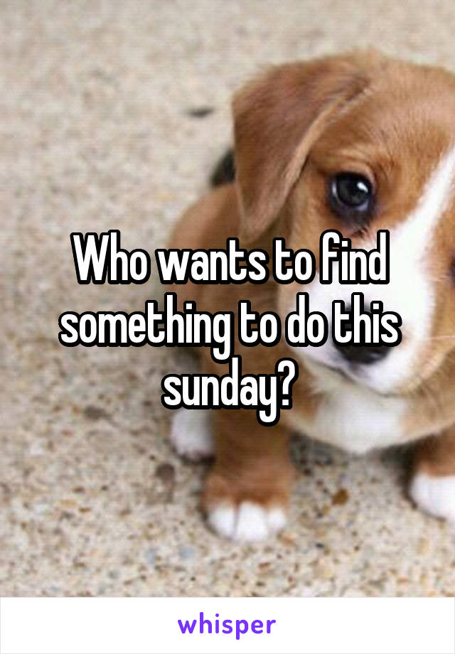Who wants to find something to do this sunday?