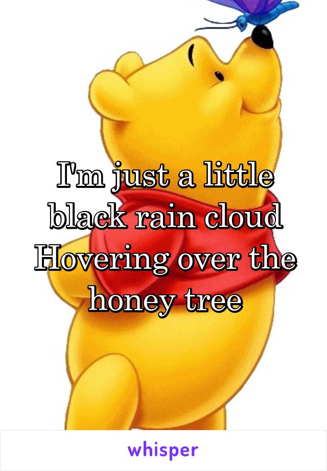 I'm just a little black rain cloud
Hovering over the honey tree