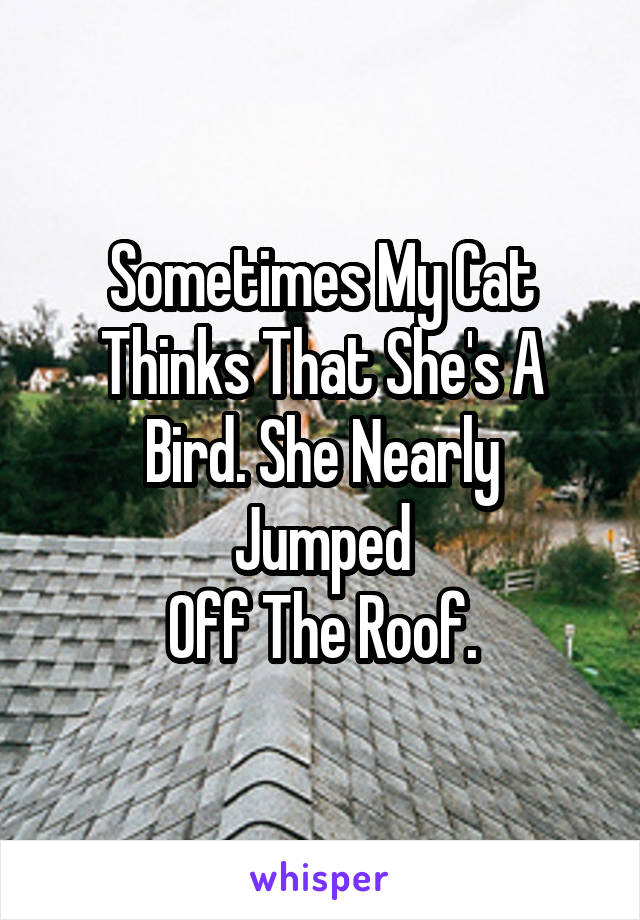 Sometimes My Cat
Thinks That She's A
Bird. She Nearly Jumped
Off The Roof.
