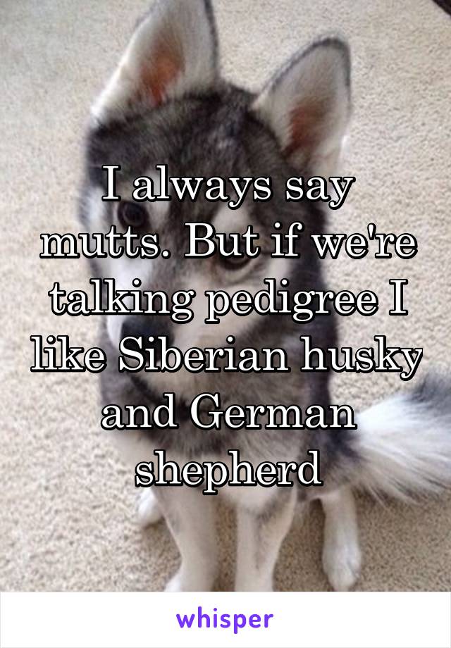 I always say mutts. But if we're talking pedigree I like Siberian husky and German shepherd