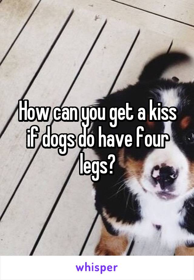 How can you get a kiss if dogs do have four legs?
