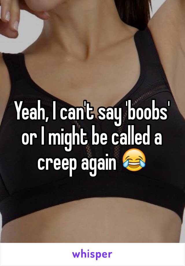 Yeah, I can't say 'boobs' or I might be called a creep again 😂