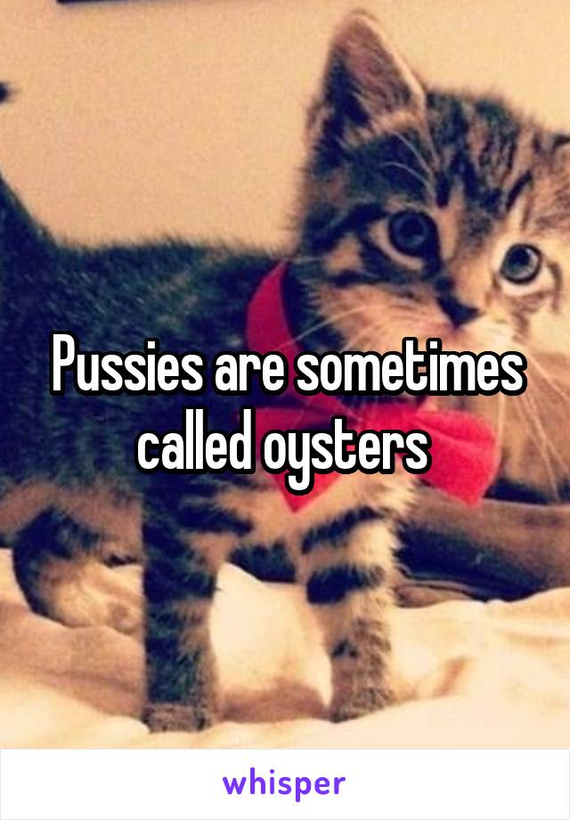 Pussies are sometimes called oysters 