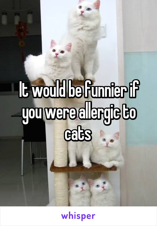 It would be funnier if you were allergic to cats 