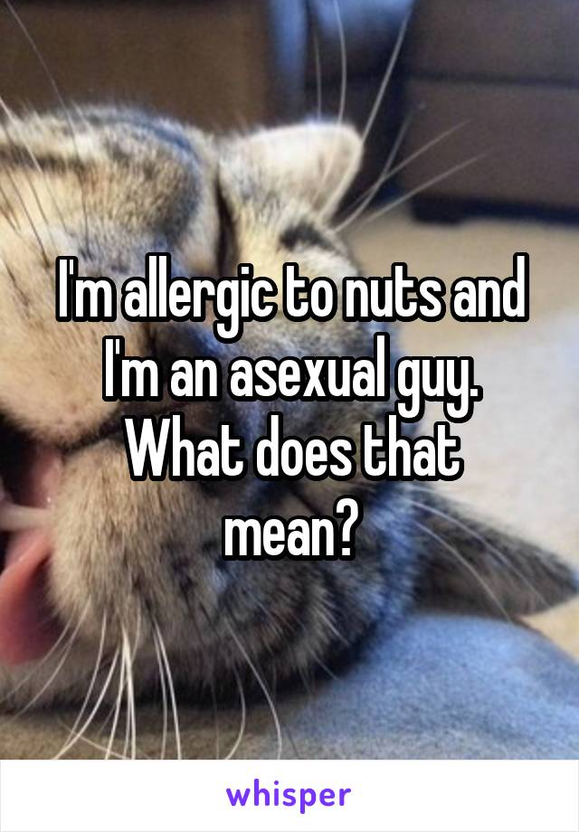 I'm allergic to nuts and I'm an asexual guy.
What does that mean?