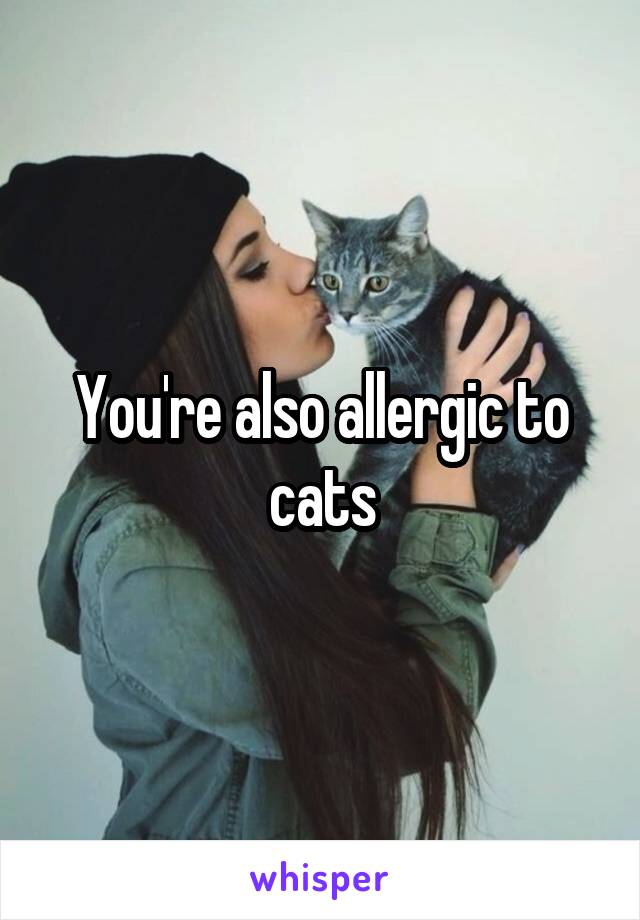 You're also allergic to cats