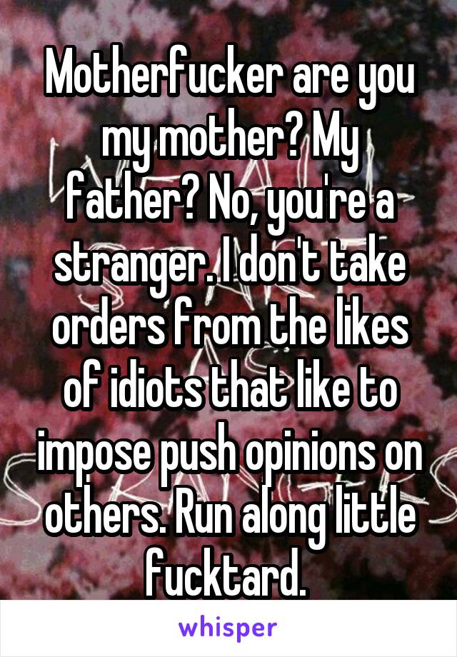 Motherfucker are you my mother? My father? No, you're a stranger. I don't take orders from the likes of idiots that like to impose push opinions on others. Run along little fucktard. 