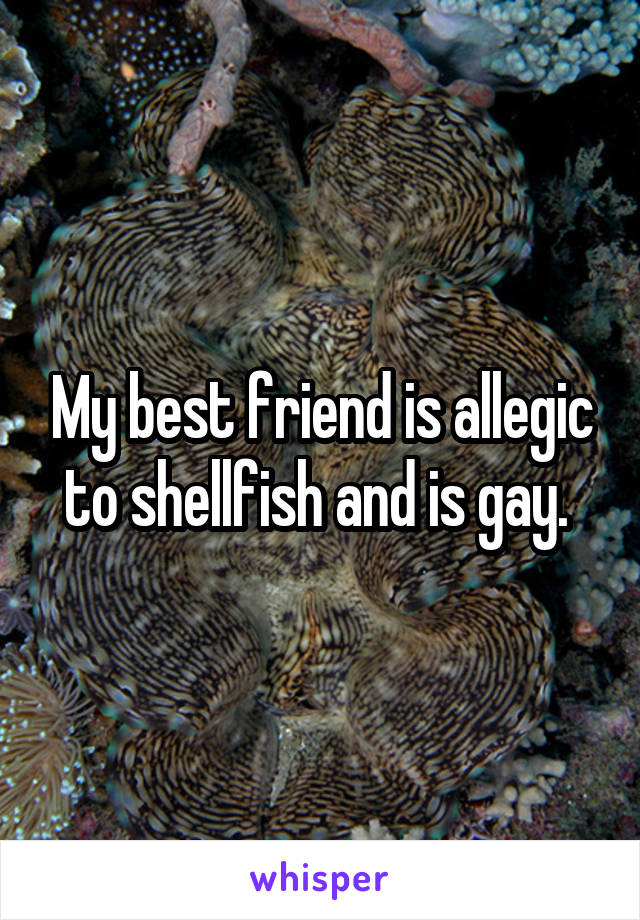 My best friend is allegic to shellfish and is gay. 