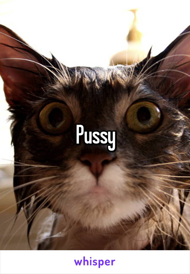 Pussy