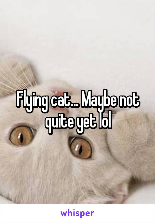 Flying cat... Maybe not quite yet lol
