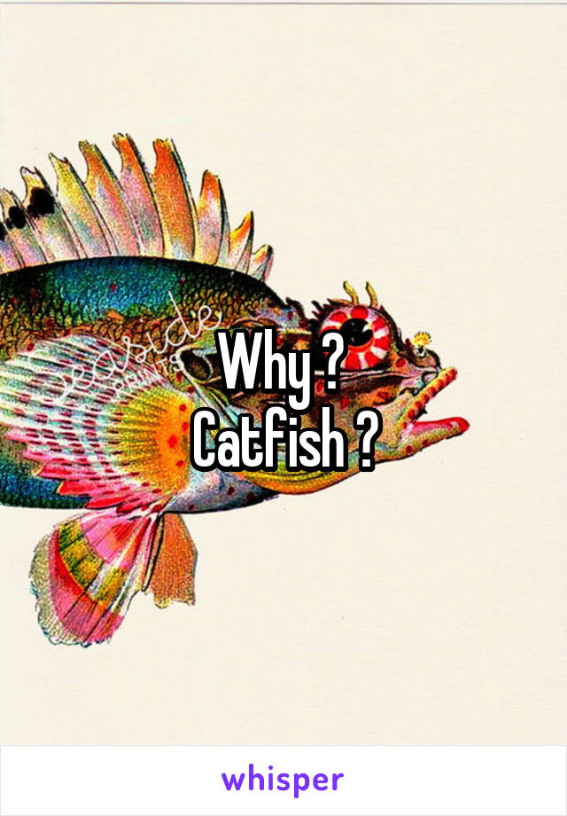 Why ? 
Catfish ?