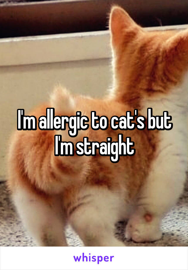 I'm allergic to cat's but I'm straight