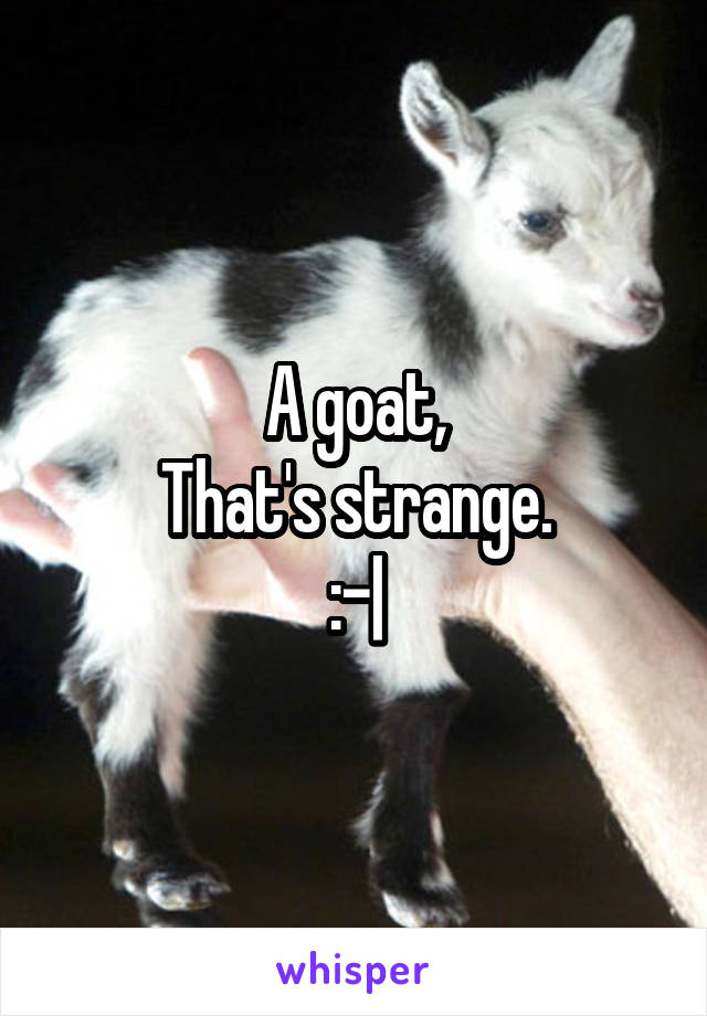 A goat,
That's strange.
:-|