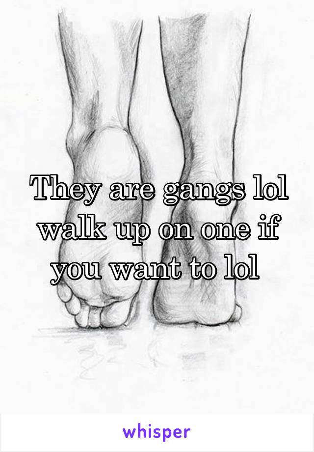 They are gangs lol walk up on one if you want to lol 