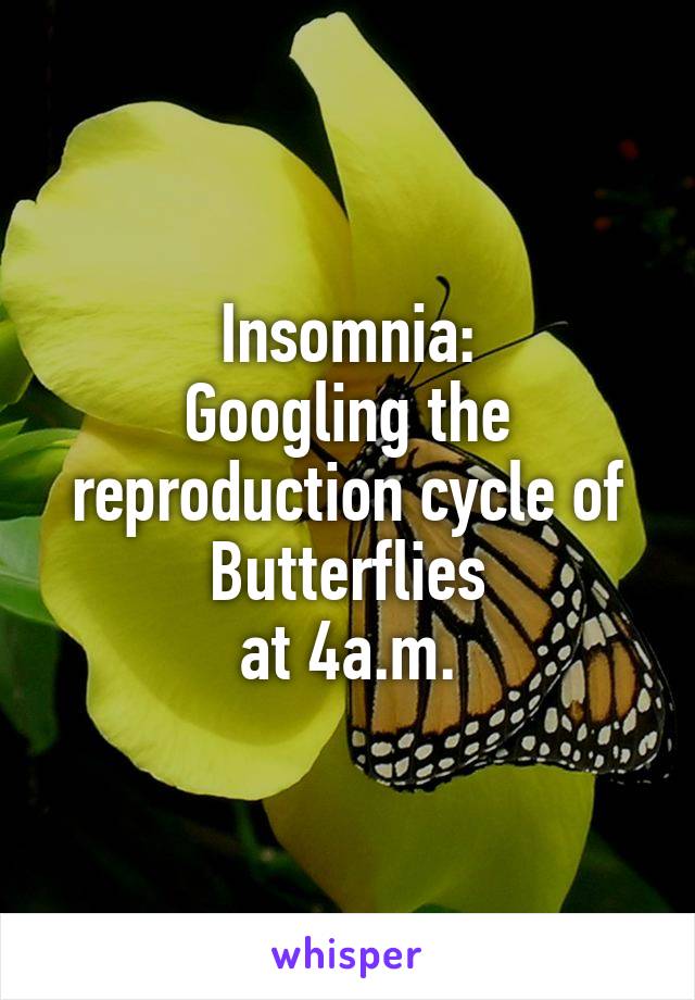 Insomnia:
Googling the reproduction cycle of Butterflies
 at 4a.m. 