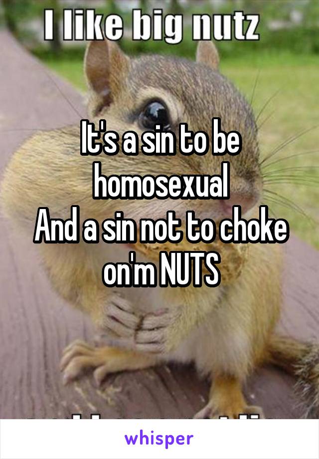 It's a sin to be homosexual
And a sin not to choke on'm NUTS
