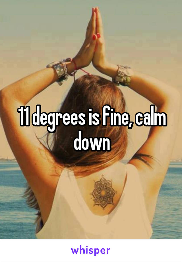 11 degrees is fine, calm down