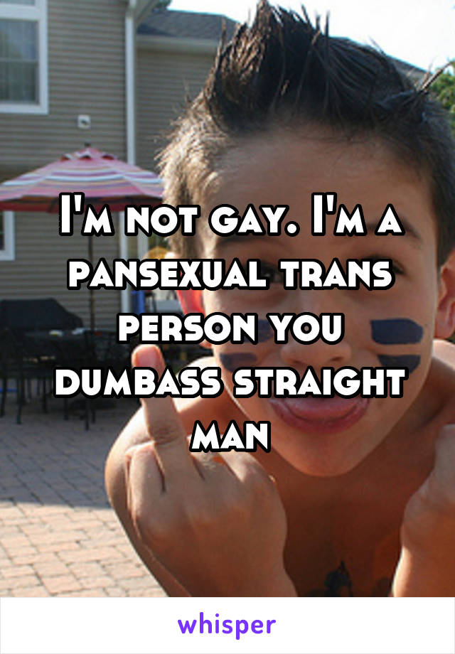 I'm not gay. I'm a pansexual trans person you dumbass straight man