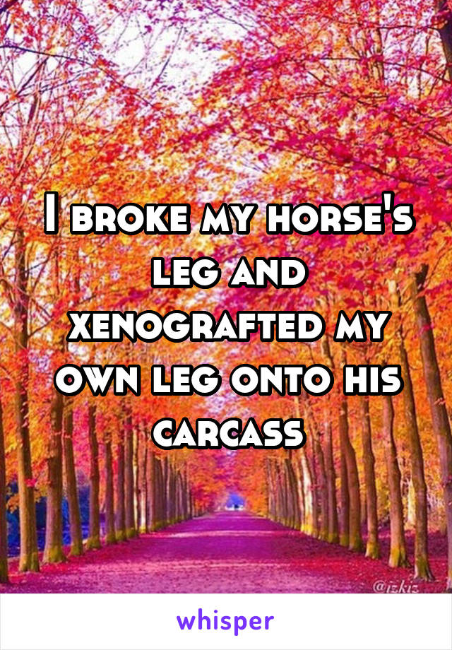 I broke my horse's leg and xenografted my own leg onto his carcass