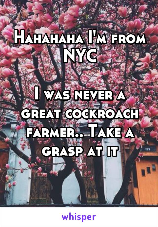 Hahahaha I'm from NYC

I was never a great cockroach farmer.. Take a grasp at it

