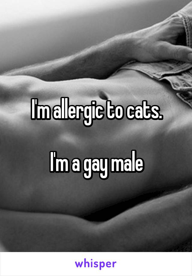 I'm allergic to cats.

I'm a gay male