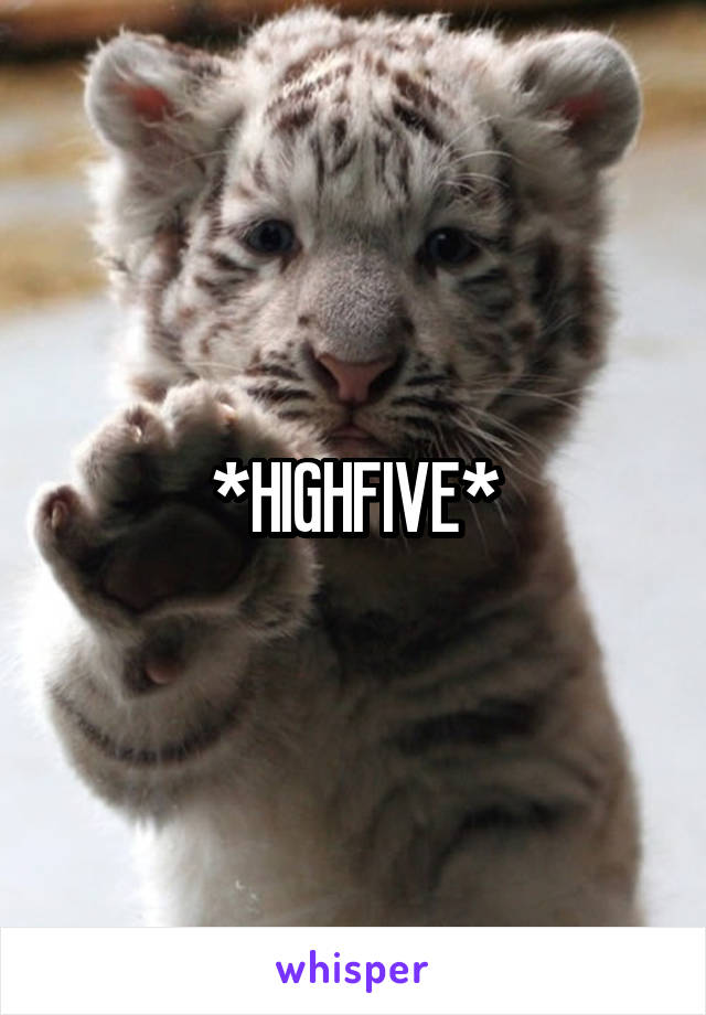 *HIGHFIVE*