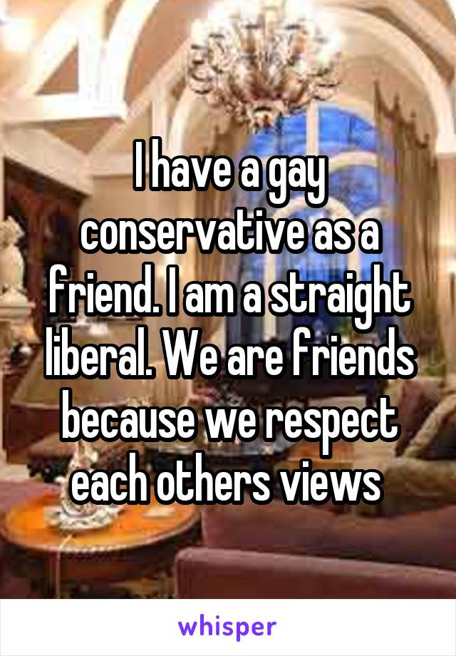 I have a gay conservative as a friend. I am a straight liberal. We are friends because we respect each others views 