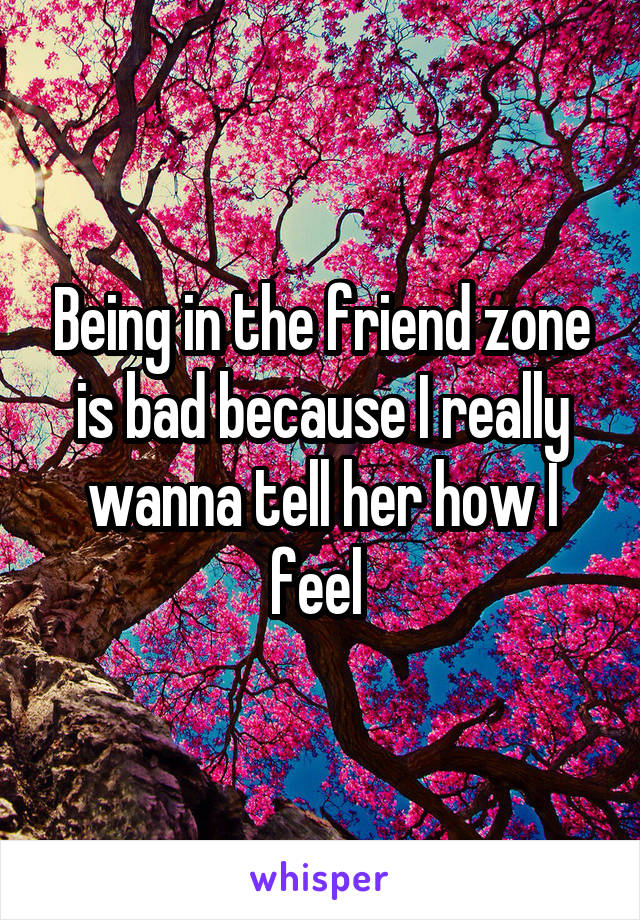Being in the friend zone is bad because I really wanna tell her how I feel 