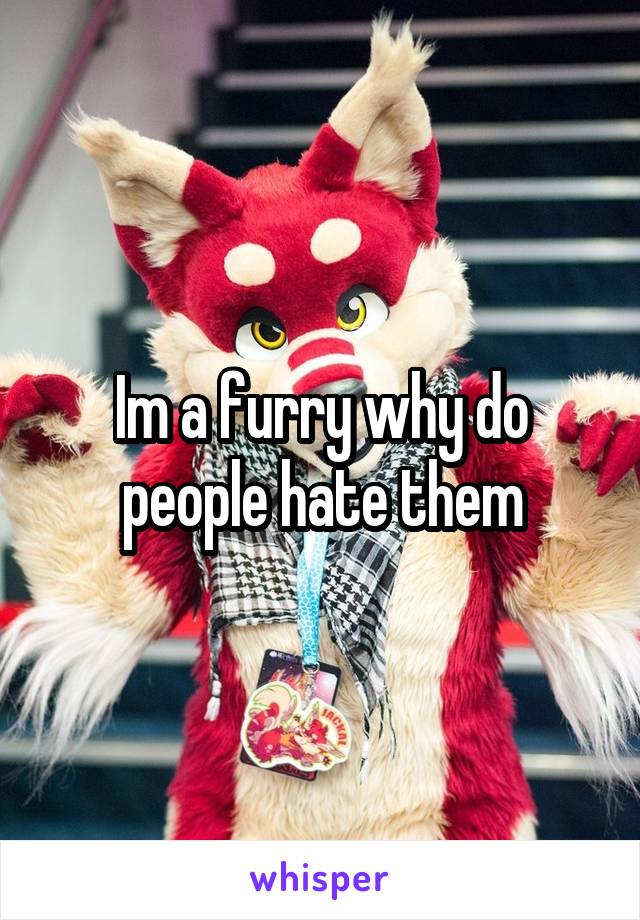 Im a furry why do people hate them