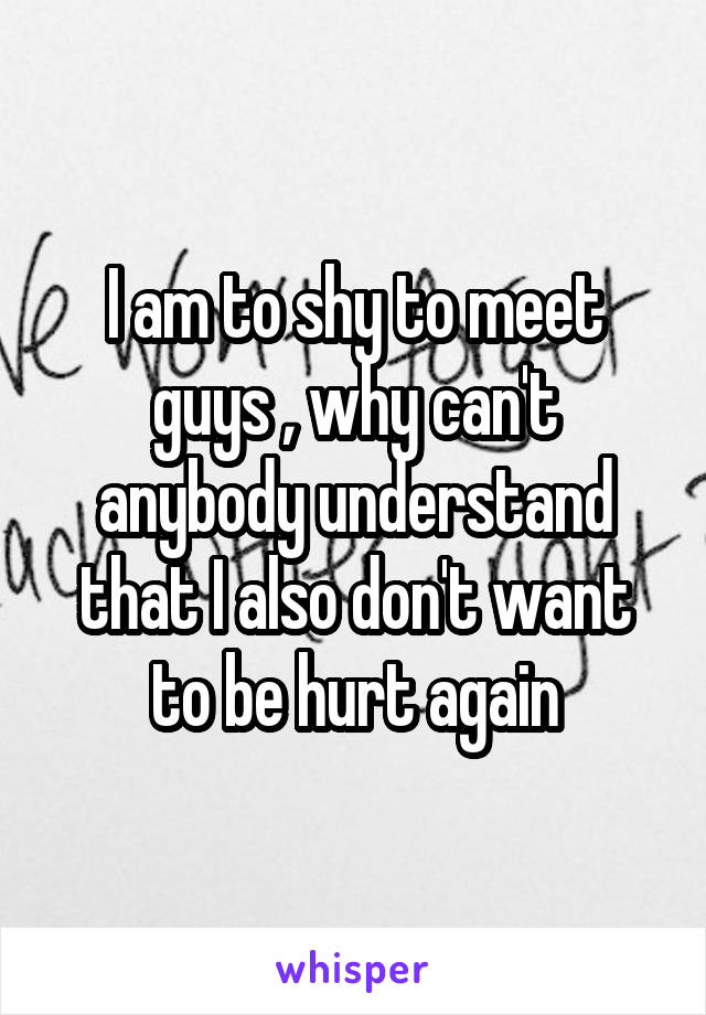 I am to shy to meet guys , why can't anybody understand that I also don't want to be hurt again