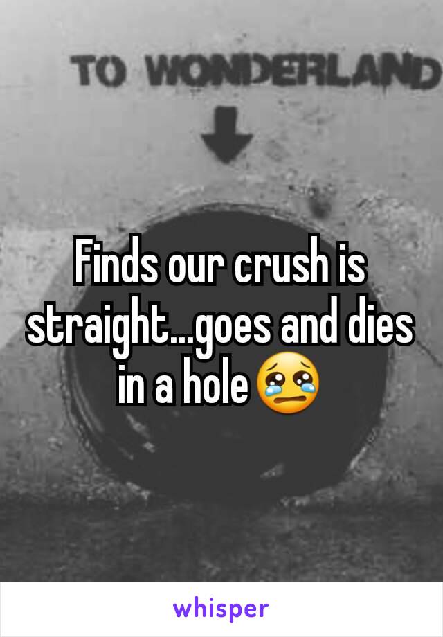 Finds our crush is straight...goes and dies in a hole😢