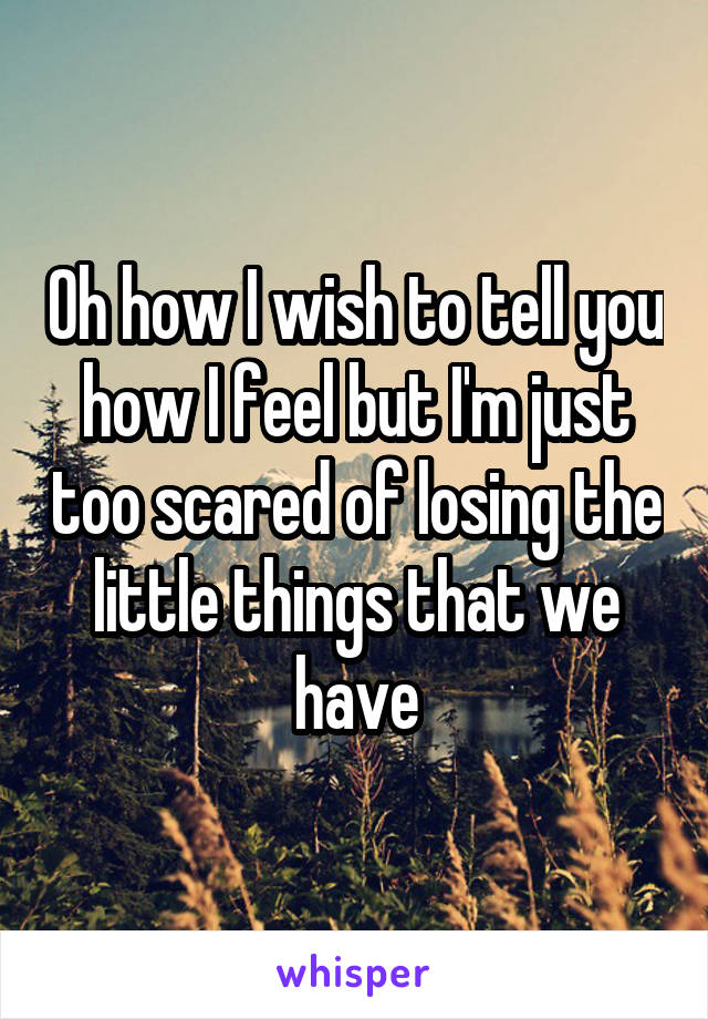 Oh how I wish to tell you how I feel but I'm just too scared of losing the little things that we have