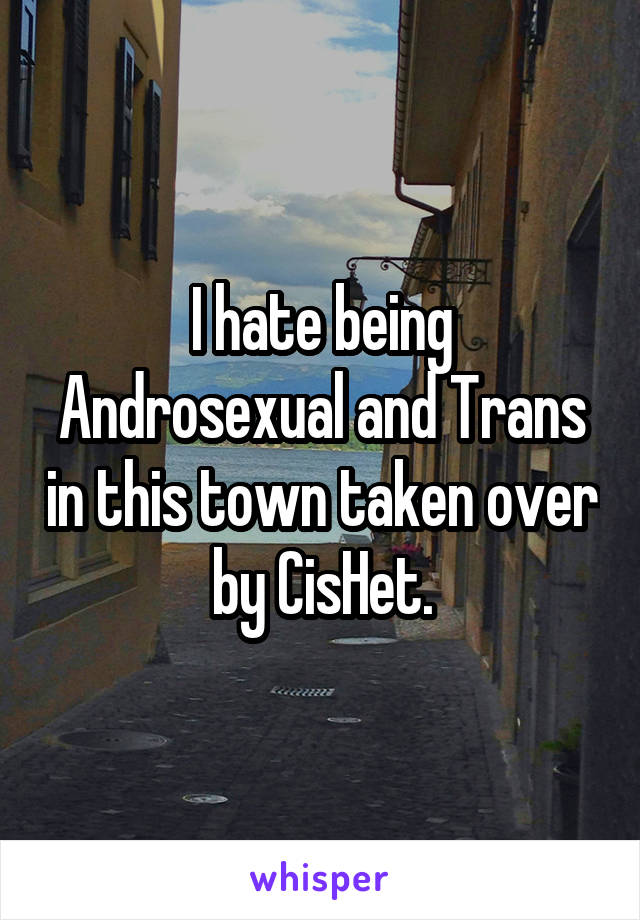 I hate being Androsexual and Trans in this town taken over by CisHet.