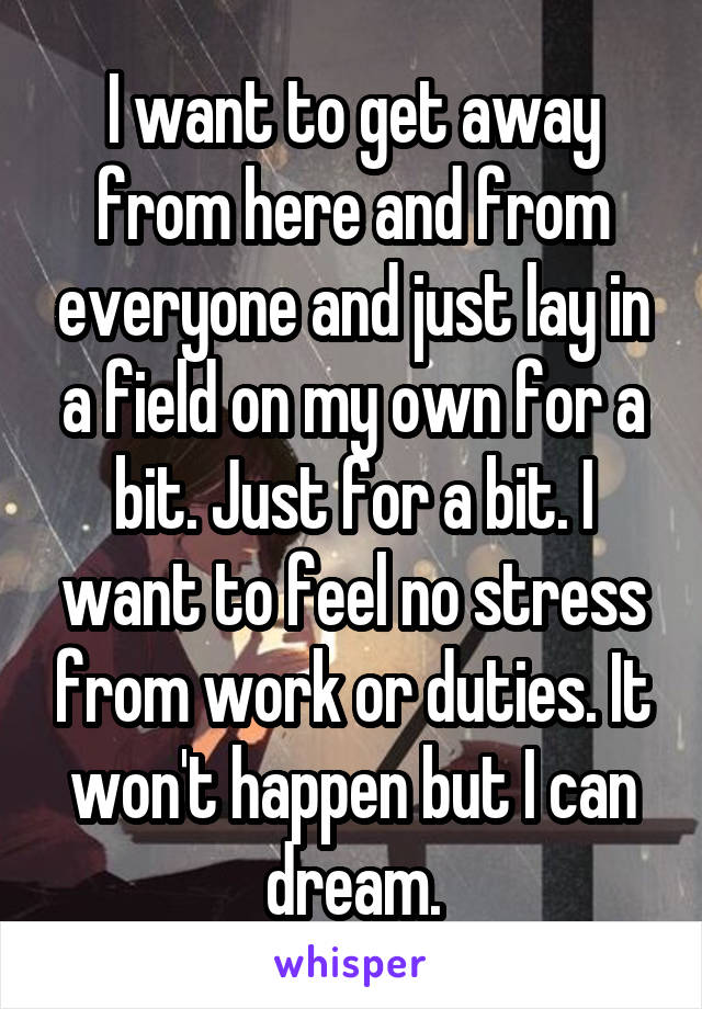I want to get away from here and from everyone and just lay in a field on my own for a bit. Just for a bit. I want to feel no stress from work or duties. It won't happen but I can dream.