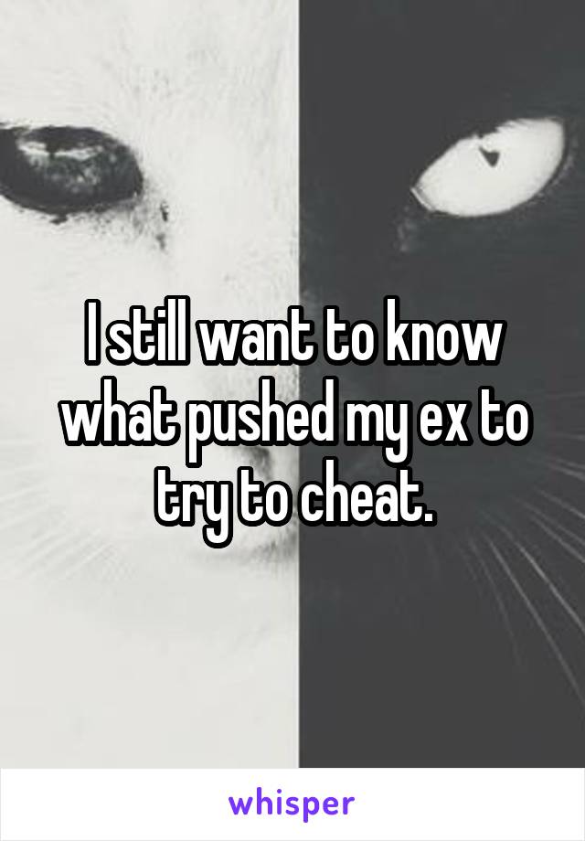 I still want to know what pushed my ex to try to cheat.