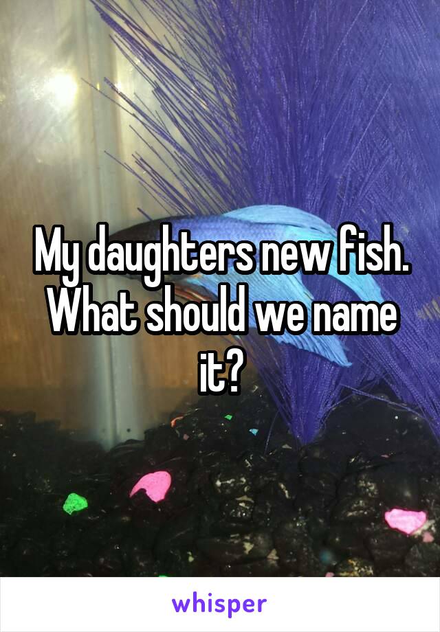 My daughters new fish. What should we name it?