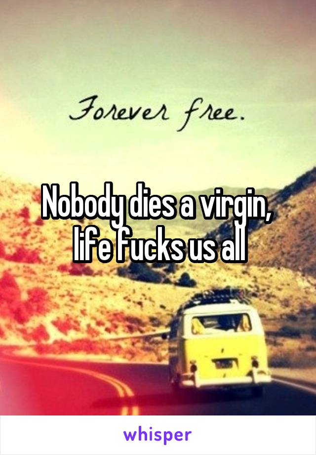 Nobody dies a virgin,  life fucks us all
