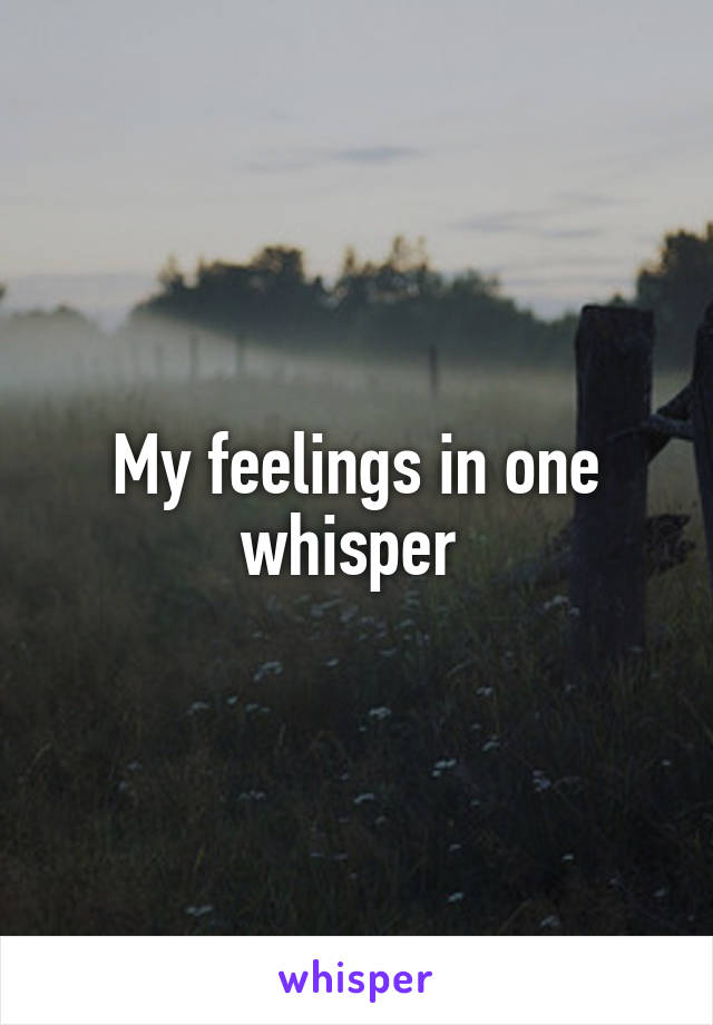 My feelings in one whisper 