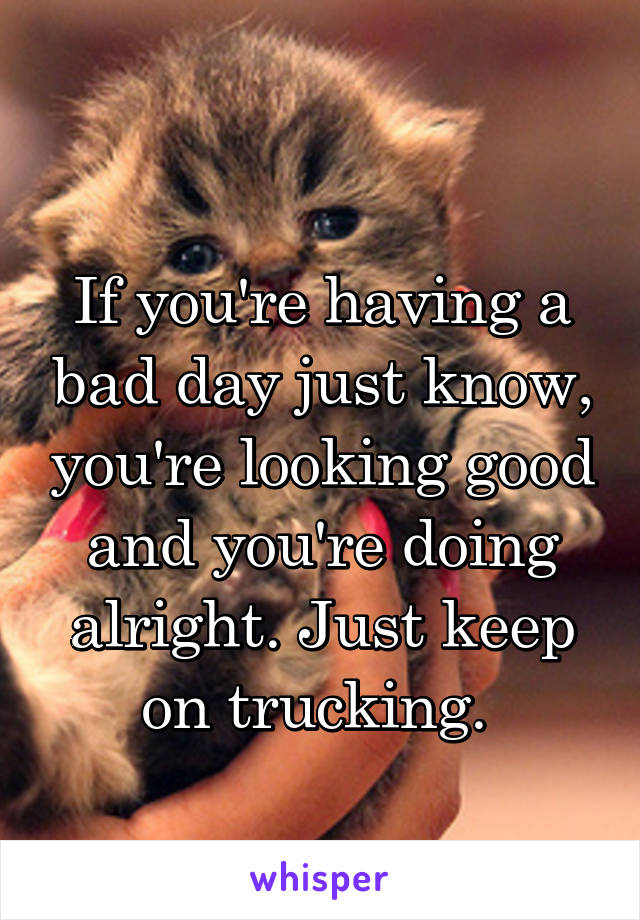 
If you're having a bad day just know, you're looking good and you're doing alright. Just keep on trucking. 