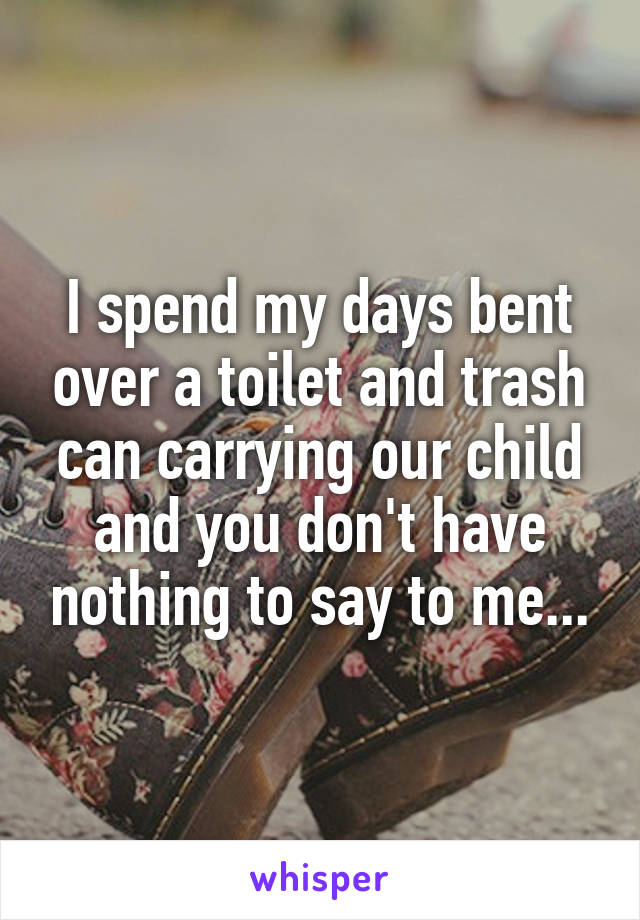 I spend my days bent over a toilet and trash can carrying our child and you don't have nothing to say to me...