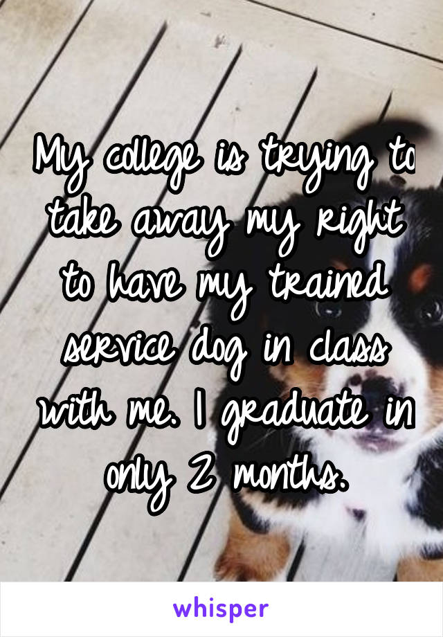 My college is trying to take away my right to have my trained service dog in class with me. I graduate in only 2 months.