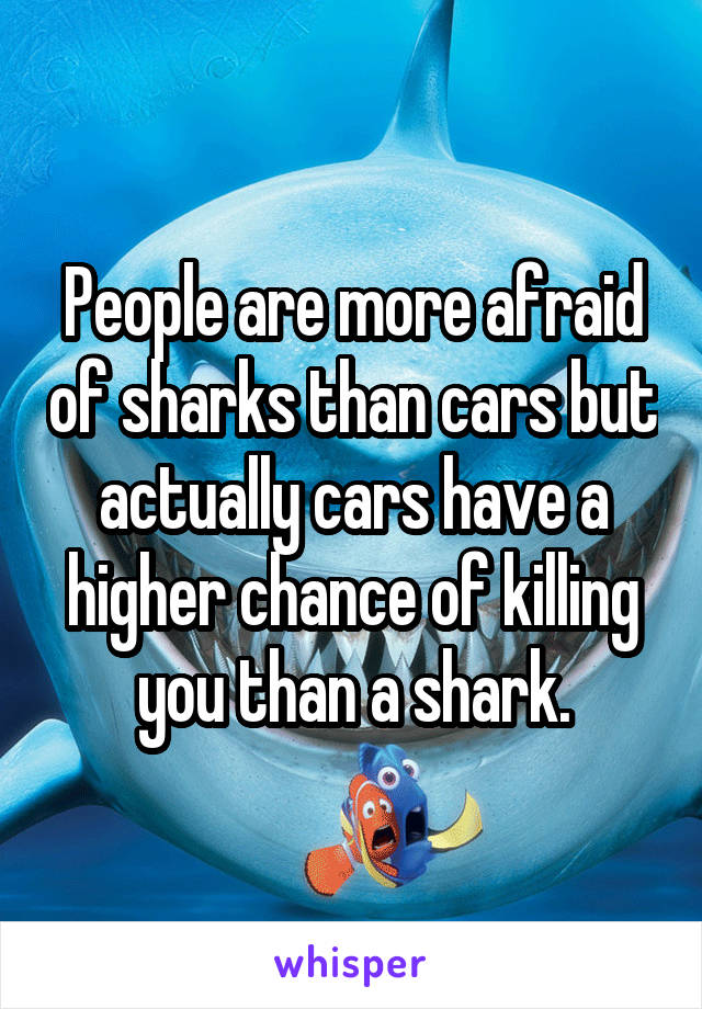 People are more afraid of sharks than cars but actually cars have a higher chance of killing you than a shark.